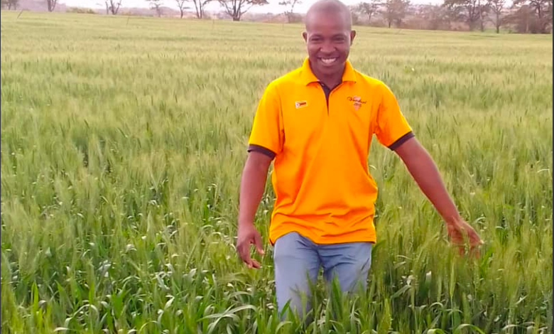Interview With Masimba Maimba , Young Zimbabwean Commercial Farmer
