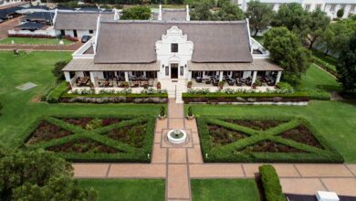 Experience The 'The Winelands in Gauteng' at Kievits Kroon