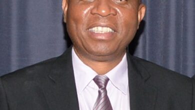 herman mashaba