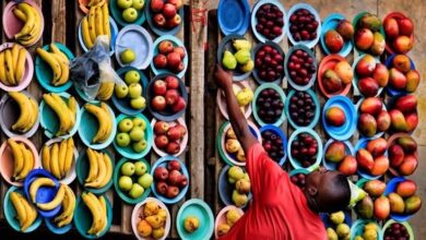 Everything You Need To Know About The Fruits and Vegetables Vendors Support Scheme