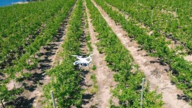 Naspers announced a R100 million investment in agritech business Aerobotics, through its early-stage business funding initiative Naspers Foundry.