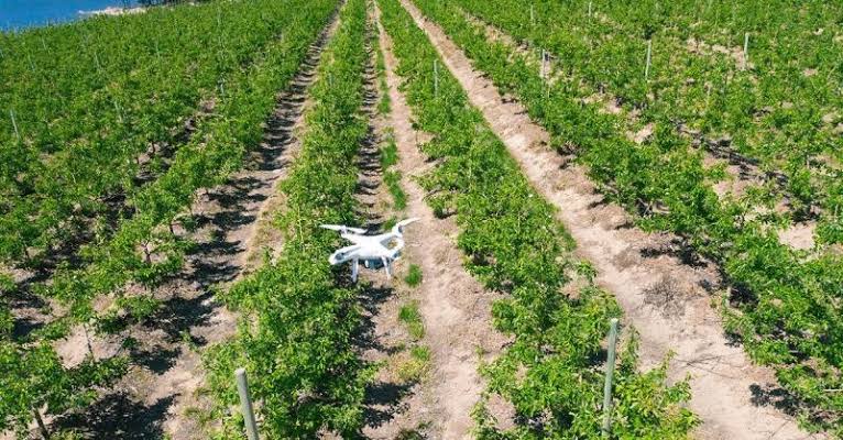 Naspers announced a R100 million investment in agritech business Aerobotics, through its early-stage business funding initiative Naspers Foundry.