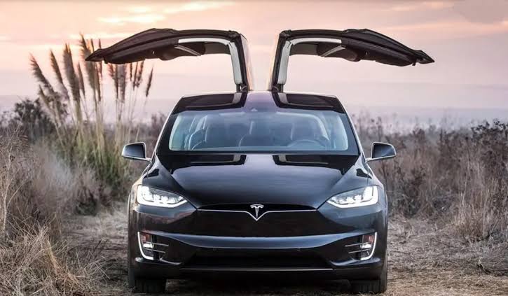 Technology Group Rubicon Is Bringing The First Tesla Model X To South Africa