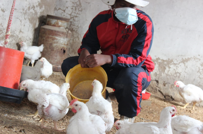 Young Farmer Receives Over R40 000 In Donations In 3 Days After Losing R50 000 Worth Of Broilers