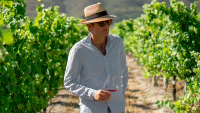 Roland Peens, CEO of Hemelzicht Vineyards Talks About Invest Model Facilitating Wine farm Ownership