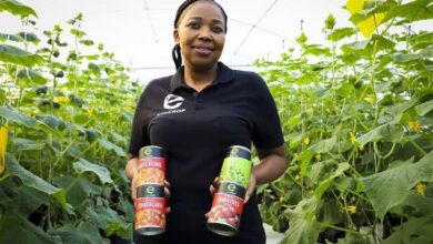 Elite Crop Seeks To Provided Quality Food And Employment To South Africans