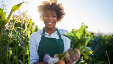 IDC And The Department of Agriculture, Land Reform and Rural Development Launch R1BN Agri- Industrial Fund To Boost Black Farmers