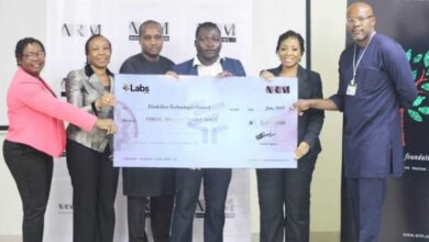 These 5 Nigerian Start-Ups Managed To Get Selected For The Labs By ARM Accelerator