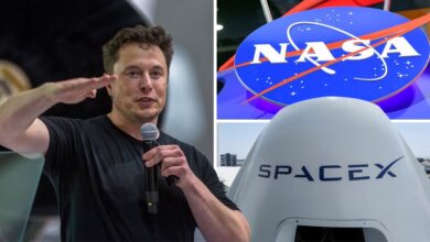 Elon Musk Is Being Sued For Tweets That Violates His SEC Deal