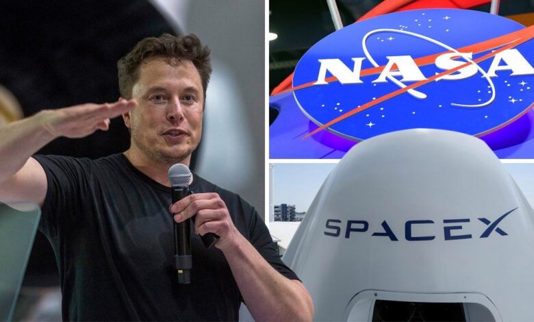 Billionaire Elon Musk Plans On Creating A City In Texas That Will Be Called Starbase