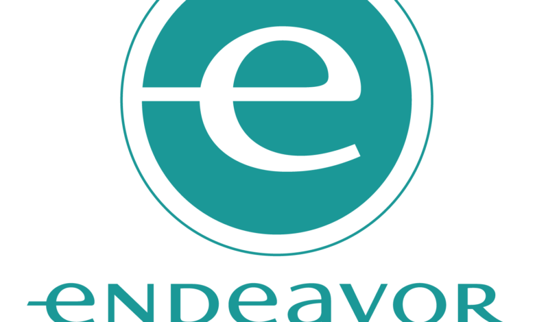 Endeavor Aims To Introduce Young Entrepreneurs To A Network Of Business Mentors