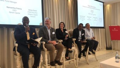 Sanari Capital Aims To Invest In Growth Companies In South Africa