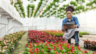 TonnUp Is A Start-Up That Enables Farmers To Better Manage Their Products