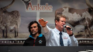 Patrice Motsepe And Cyril Ramaphosa Attend The First Ankole Cattle Auction In South Africa