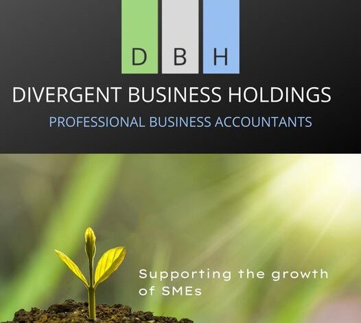 Divergent Business Holdings Aims To Offer Tailored Accounting Services