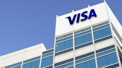 Multinational Financial Services Corporation Visa Expands Its Visa Fintech Partner Connect