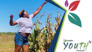 How FarmSol Became One Of The Leading Farmer Development Companies