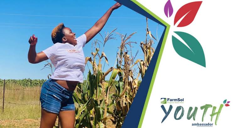 How FarmSol Became One Of The Leading Farmer Development Companies