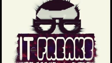 IT Freaks Is An Information Technology Company That Aims To Assist Township Businesses With Their Online Presence