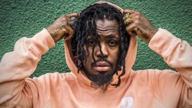 Businesses Owned By Stilo Magolide