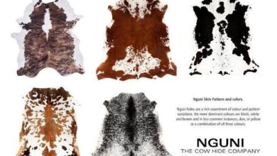 How The Nguni Brand Is Providing Nguni Culture Inspired Cowhides