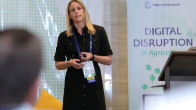 GreenFingers Is A Start-Up That Was Created To Provide Agricultural Value Chain Solutions