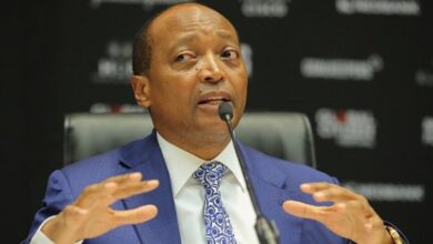 Businesses Owned By Patrice Motsepe