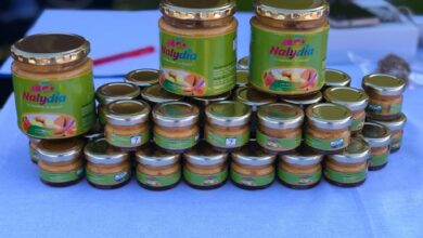 How Nalydia Foods Produces Organic Baby Food
