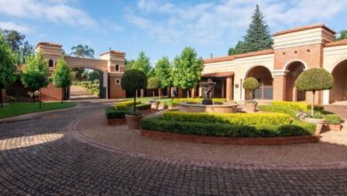 This Neo-Classical Equestrian Haven Is Selling For R 14 900 000!