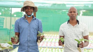 Co-Founder Of Vegethentic Farm Ngwako Sekhula Explains How Hydroponic Farming Can Assist SA Farmers