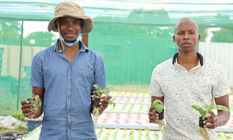 Co-Founder Of Vegethentic Farm Ngwako Sekhula Explains How Hydroponic Farming Can Assist SA Farmers