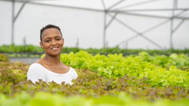 Founder Of Sandton's First Hydroponic Rooftop Farm Zandile Kumalo Highlights Some Of The Misconceptions About Hydroponic Farming