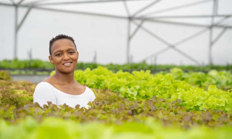 Founder Of Sandton's First Hydroponic Rooftop Farm Zandile Kumalo Highlights Some Of The Misconceptions About Hydroponic Farming