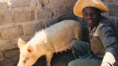 How University Student Nkosinathi Makamela Used His NSFAS Allowance To Start A Farming Business