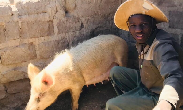 How University Student Nkosinathi Makamela Used His NSFAS Allowance To Start A Farming Business