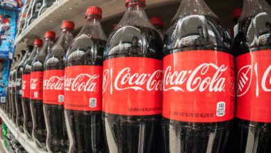 Beverage Corporation Coca-Cola Launches Its New Sustainability Platform In Africa