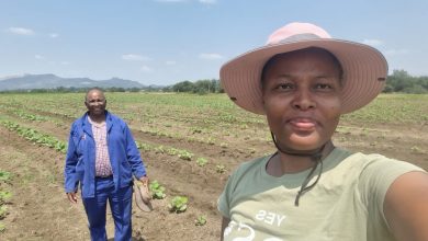 SA Farmer Kokie Baloyi Reflects On Her New Farm’s Progress