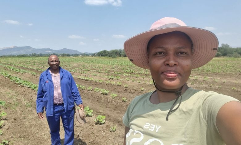 SA Farmer Kokie Baloyi Reflects On Her New Farm’s Progress