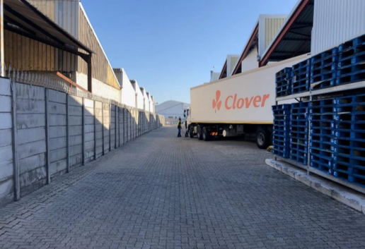 Dairy Group Clover Shuts Down Its Plant In Free State