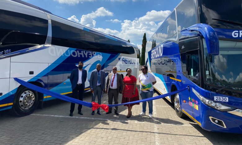 SA Luxury Coach Solutions Greyhound Resumes Its Operations