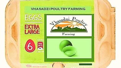 How Vhasadzi Poultry Farm Aims To Supply Supermarkets With Its Own Branded Chicken And Eggs