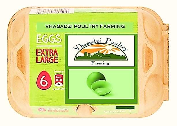 How Vhasadzi Poultry Farm Aims To Supply Supermarkets With Its Own Branded Chicken And Eggs