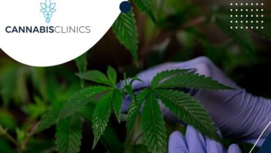 RecoMed Partners With Cannabis Clinics In Order To Launch South Africa’s First Online Cannabis Clinic