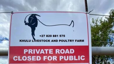 How Khulu Livestock And Poultry Farm Has Helped Young Farmers In Remote Areas Achieve Their Goals