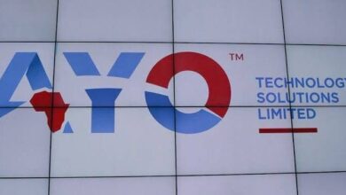 Ayo Technology Solutions Limited And African Equity Empowerment Investments Limited Announce Joint Acquisition Of Italian Summer