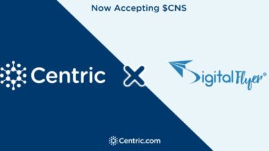 Centric Announces That SA Online Marketing Platform DigitalFlyer Has Adopted Centric Payments