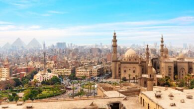 IBIS Consulting Bolsters North Africa Expansion With New Cairo Office