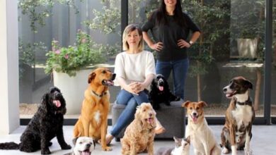 Pet Shop Benji+Moon Seeks To Provide SA Manufactured Pet Products