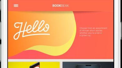 How BookBeak Became The First App-based Platform To Aggregate African Short Stories