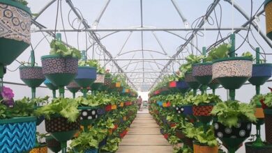 Redefine Changes The Way Property Is Managed With Launch Of Rooftop Farm At Iconic Kenilworth Centre